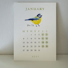 Bird Desk Calendar 2025