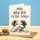 Dog Years Card - Birthday Card