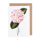 Camellia - Greeting Card Laura Stoddart