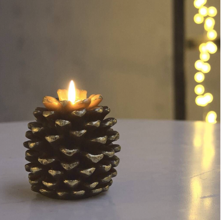 pine cone light 