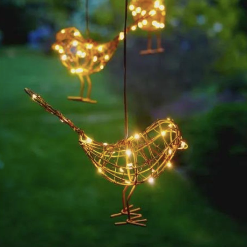 hanging robin light 