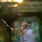 hanging robin light 