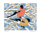 Greetings Card: Bullfinches