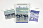 Pack of 10 Notecards - Snowy Beach Kings & Flocks by Night