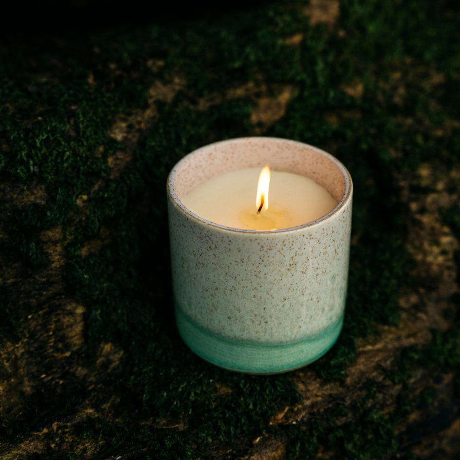 St Eval Sea and Shore Fig Tree Pot Candle