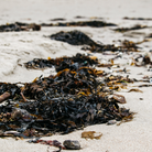 St Eval Sea and Shore Pot Candle