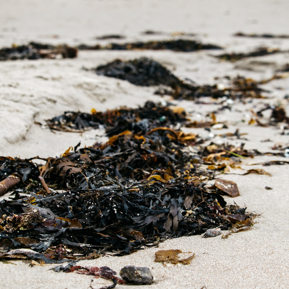 St Eval Sea and Shore Pot Candle